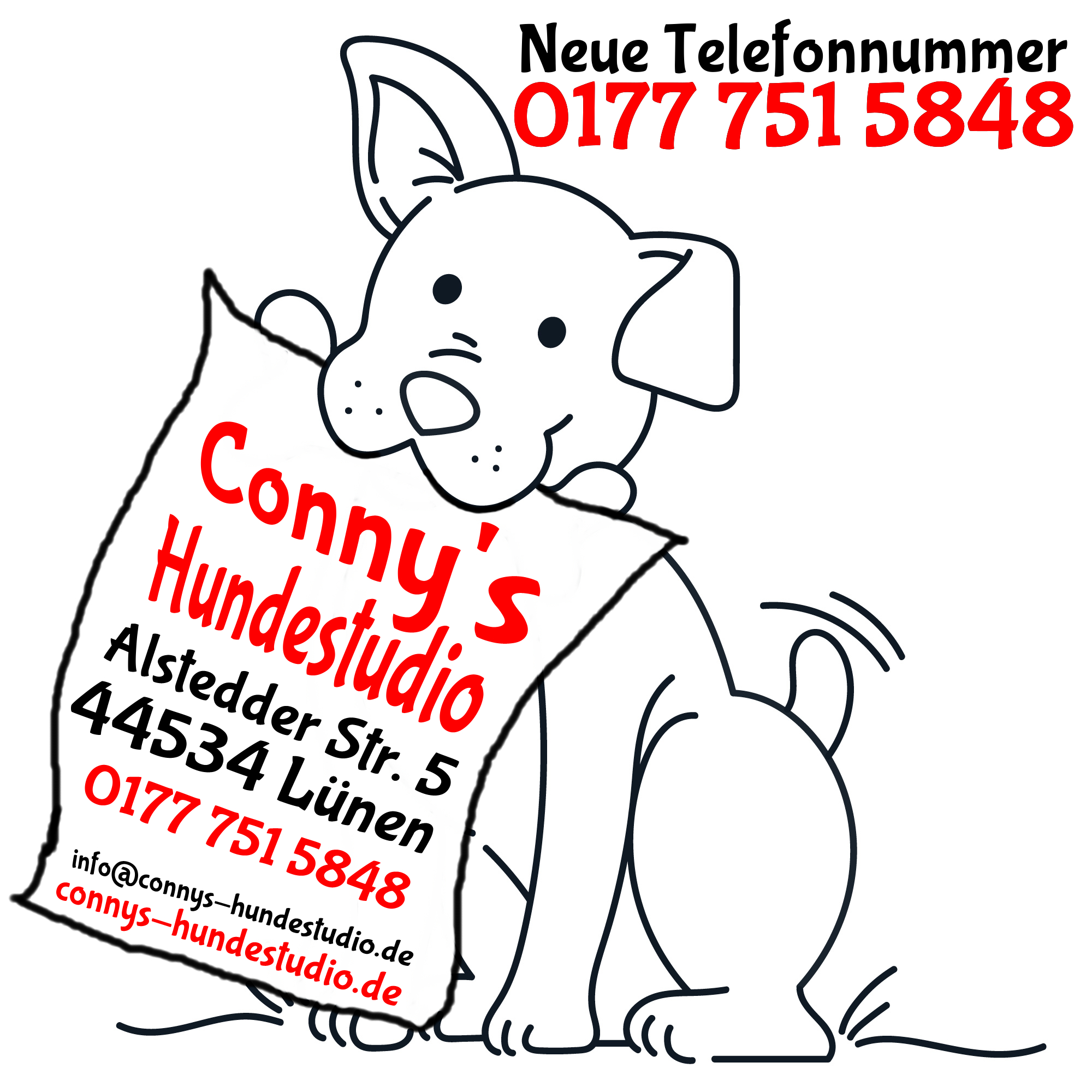 Conny's Hundestudio